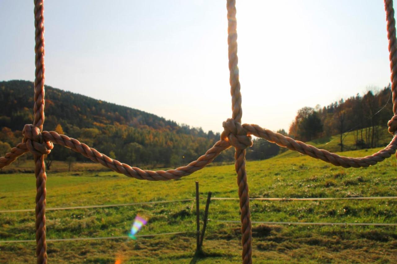 Domki Pod Bukowym Lasem Wańkowa Exterior foto