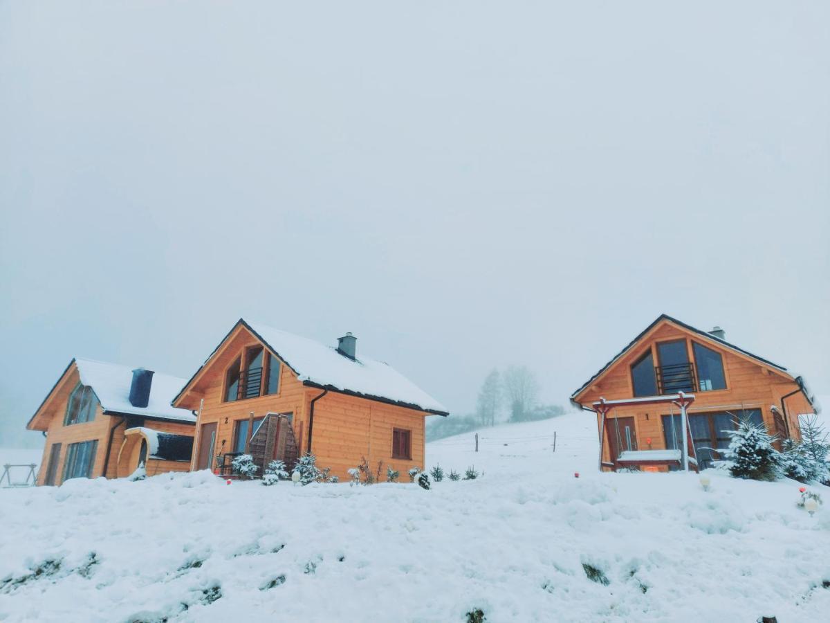 Domki Pod Bukowym Lasem Wańkowa Exterior foto