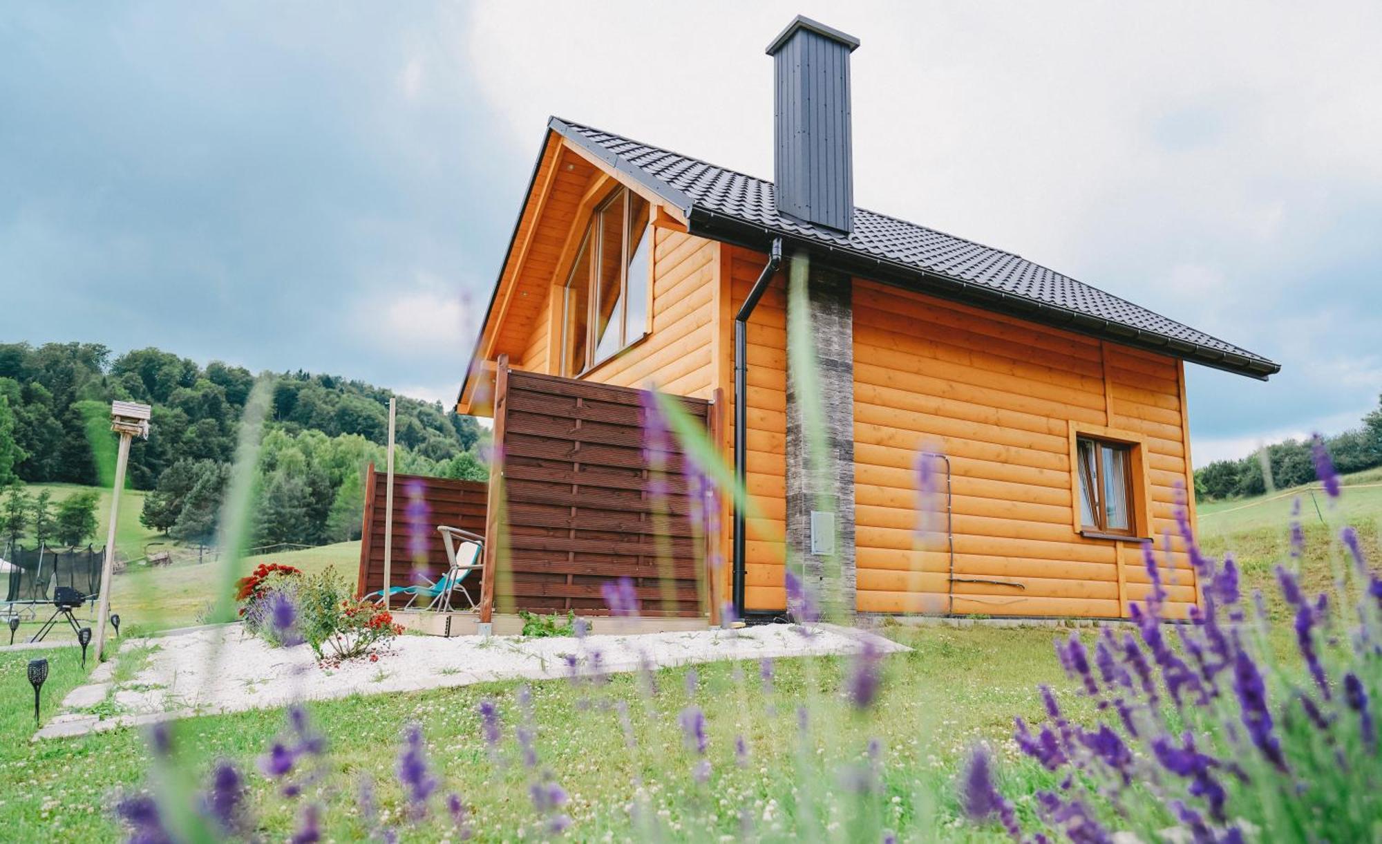 Domki Pod Bukowym Lasem Wańkowa Exterior foto
